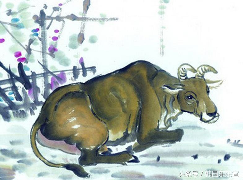 1985年属牛人35岁后运势会逆袭吗？