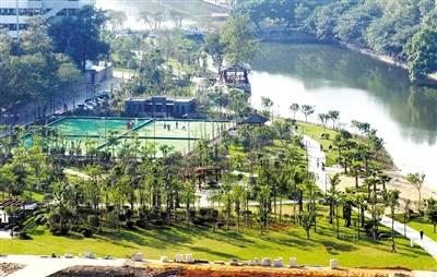 2011年2月的日历藏着什么秘密？