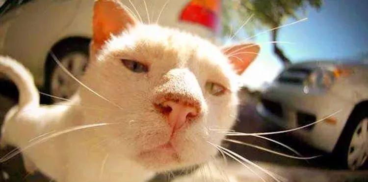 淘宝美工外包价格水平解析:2023年最新收费标准及影响因素 淘宝美工外包价格水平解析:2023年最新收费标准及影响因素