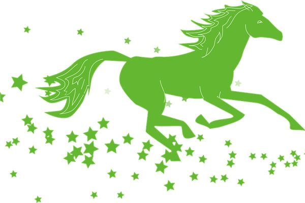 马属相配对_属马的属相婚配表_马属相婚配好吗