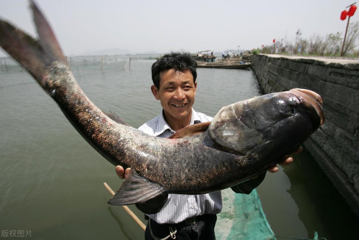 11月11日生日命运解析：揭秘这一天出生的人性格与运势