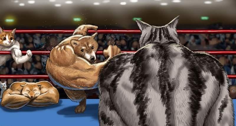 为什么这只柴犬能红遍全网？