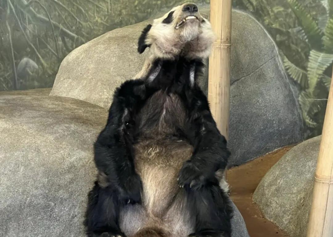 2023年3月最佳安葬吉日查询，挑选适合安葬的黄道吉日