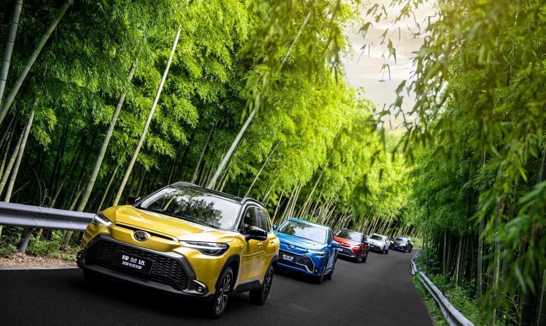 淘宝价格趋势图真的能帮你省钱吗？