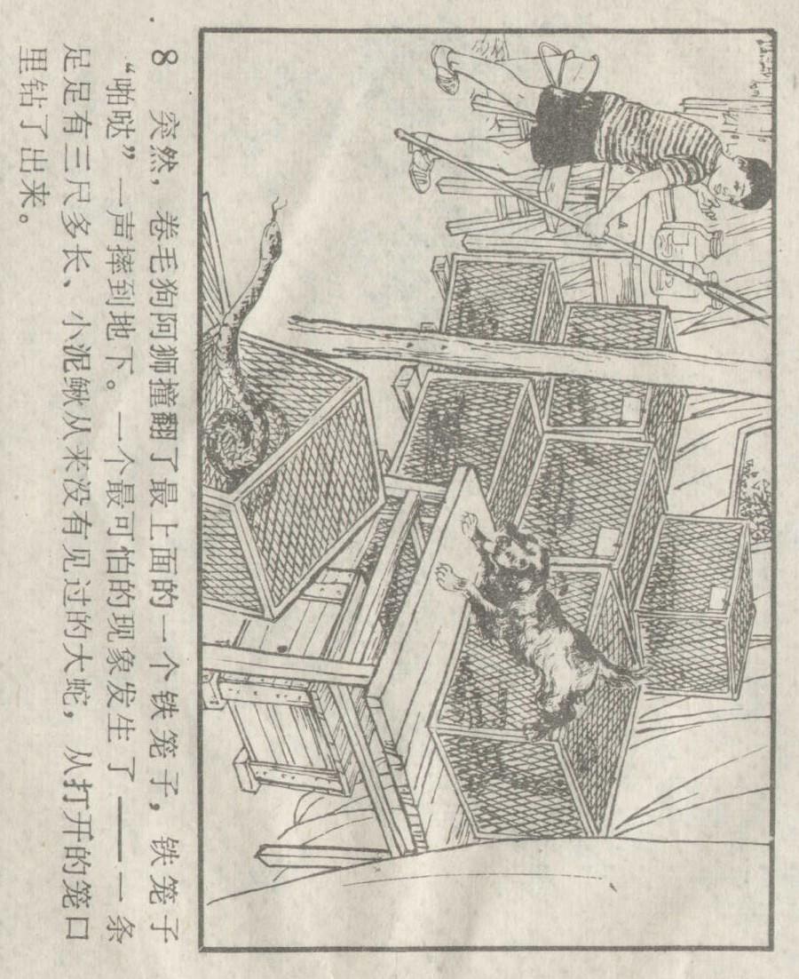 养大王蛇真的像养猫一样简单吗？