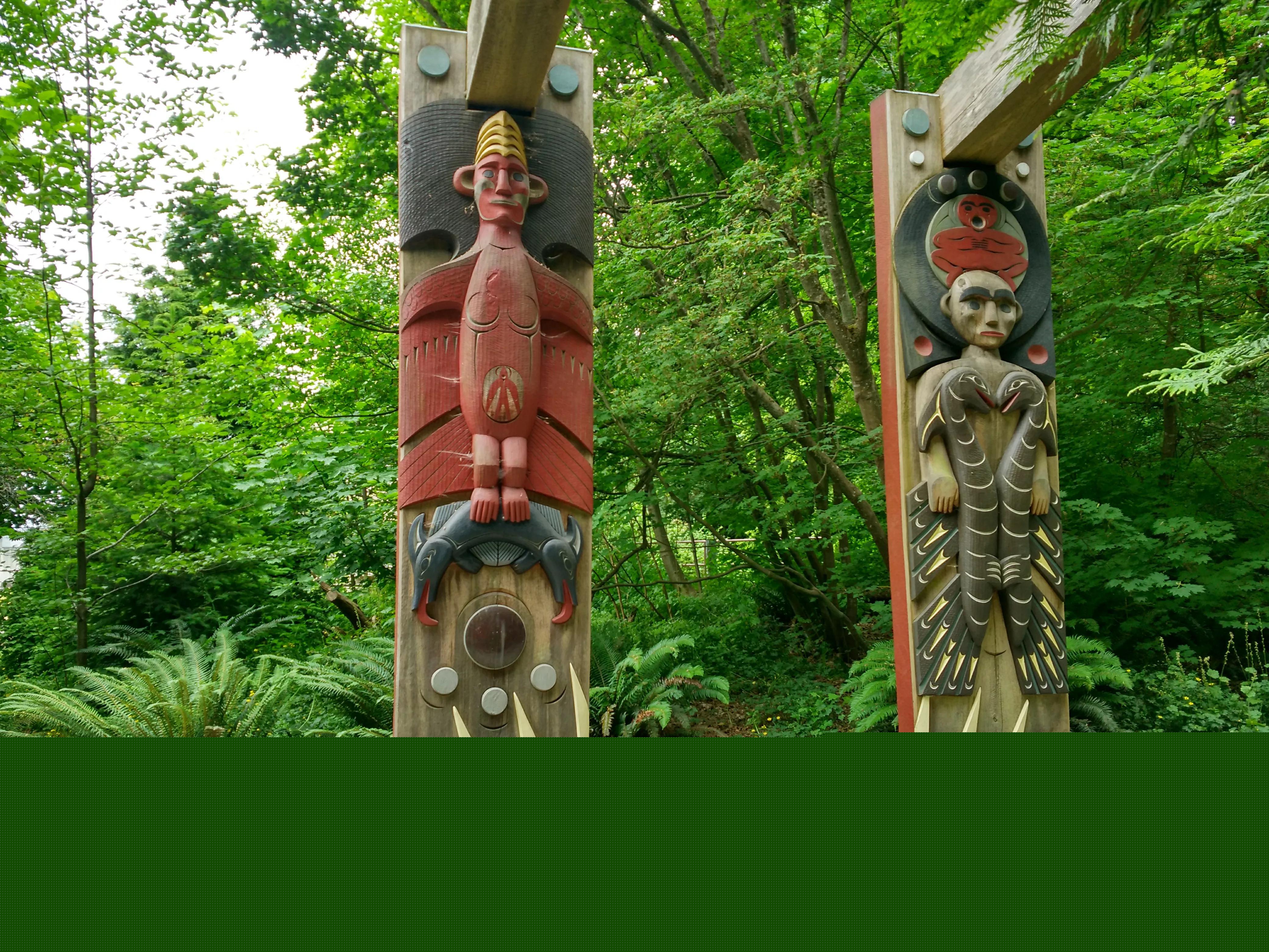 北美华人论坛资讯网到底该怎么用？