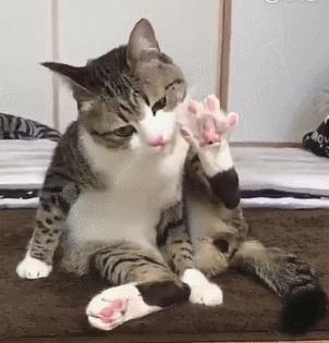 2023年最新郭姓宝宝取名大全，精选独特好名字推荐