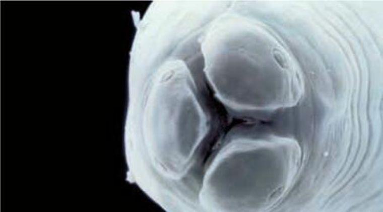 2688网店特价商品真的能省钱吗？