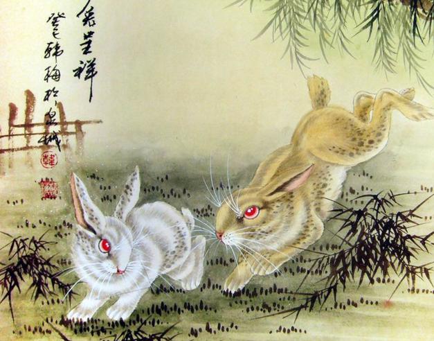 属兔人在2014年真的会犯太岁吗？