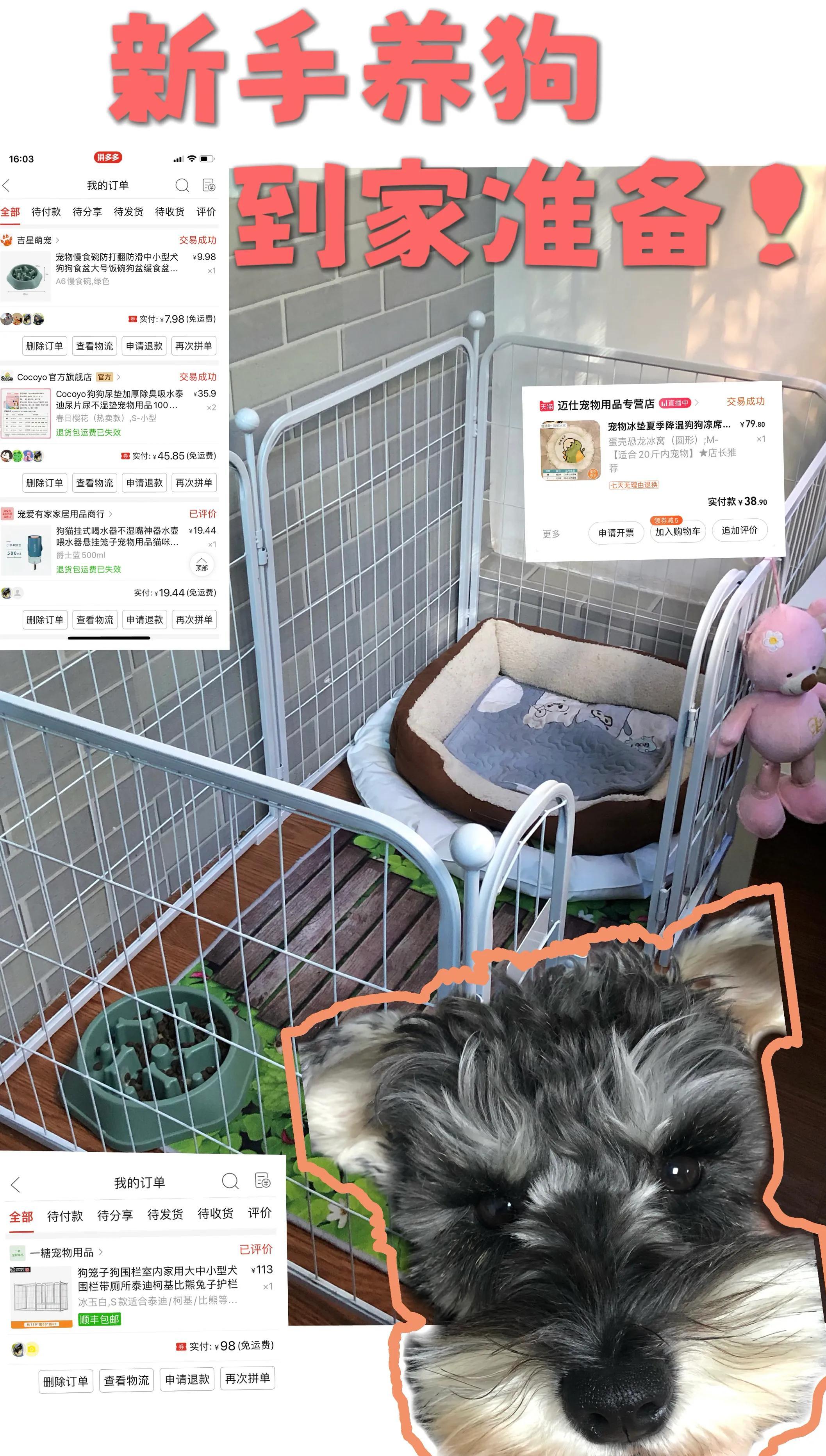 第一次养狗需要准备什么？