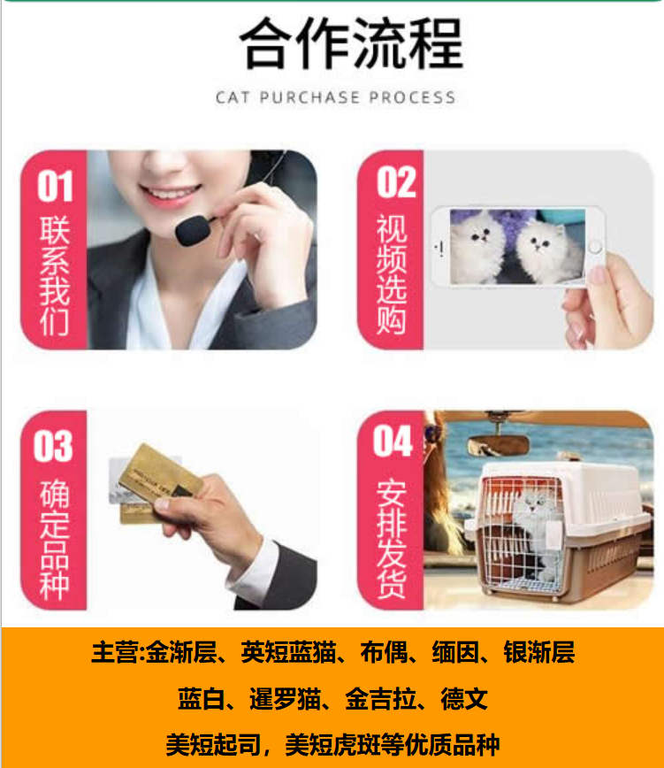 淘宝大促总抢不到货？手把手教你从青铜变王者