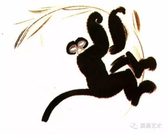 墨猴到底多少钱能买到一只？