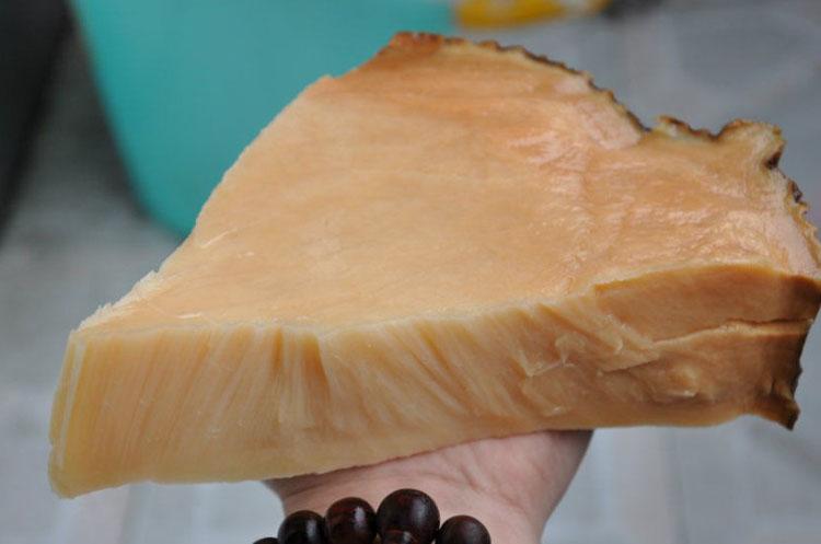 太岁究竟是长生不老药还是千年大骗局？