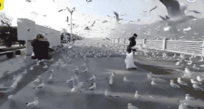 手机淘宝和电脑端如何查看等级？详细教程分享