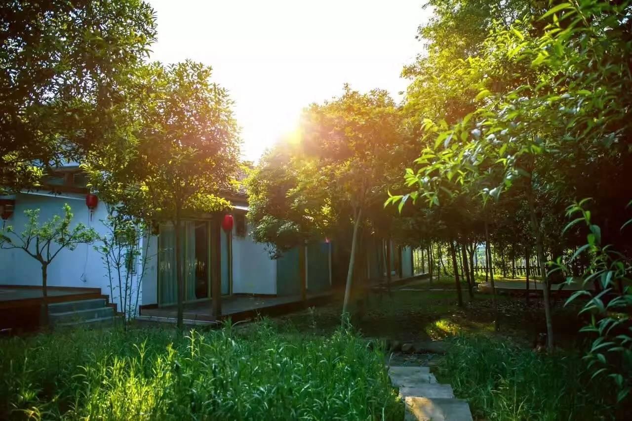 男人梦见掉头发是要秃了吗？