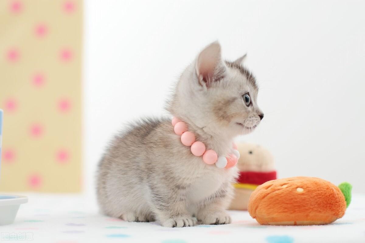 2013年五一假期怎么玩最划算？