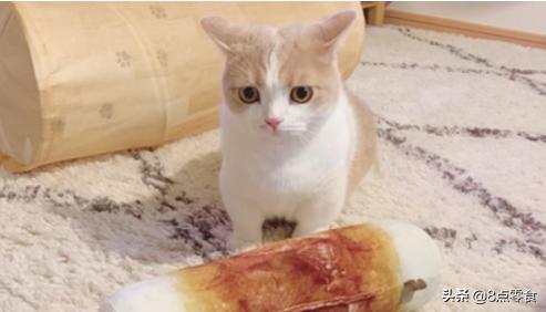 2012年3月的日历有什么特殊玩法？