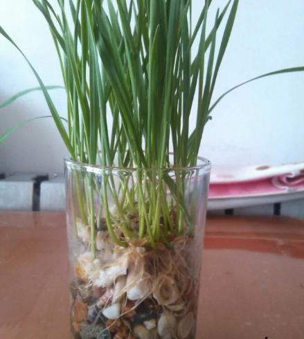 为什么古人用几根草棍就能预测未来？