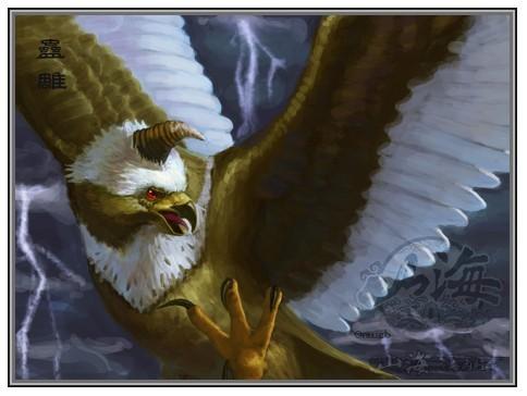 新手养乌龟真的像传说中那么容易吗？