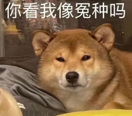 2022年3月30日穿错颜色真的会倒霉吗？