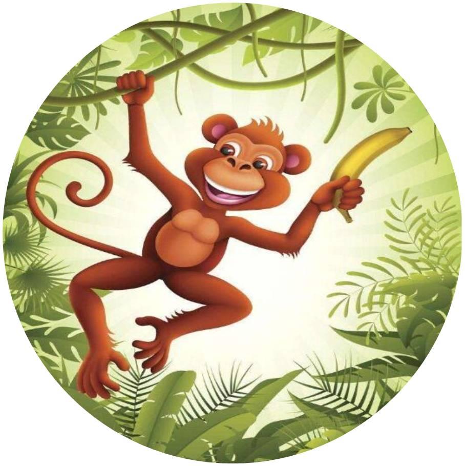 属鼠人结婚真要避开属马人吗？