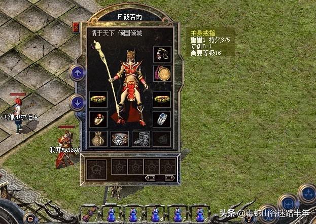 想养蛇又怕被咬？这种红宝石般的美女蛇适合新手吗？