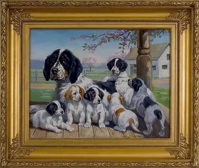 养奥达猎犬真的像传说中那么难吗？