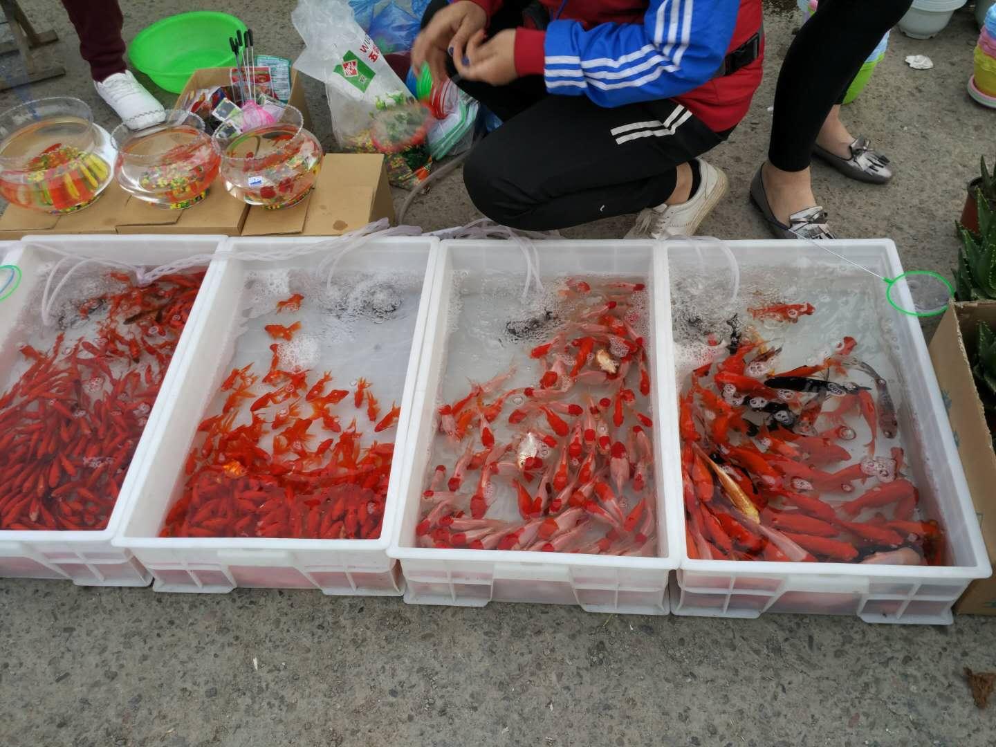 两元店进货真的能靠薄利多销赚钱吗？