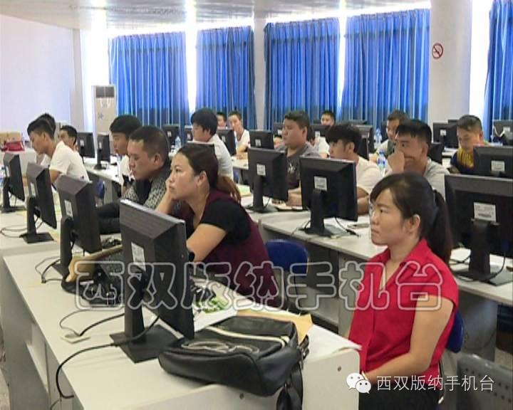 手机淘宝点不开怎么回事？淘宝网打不开的解决方法全解析