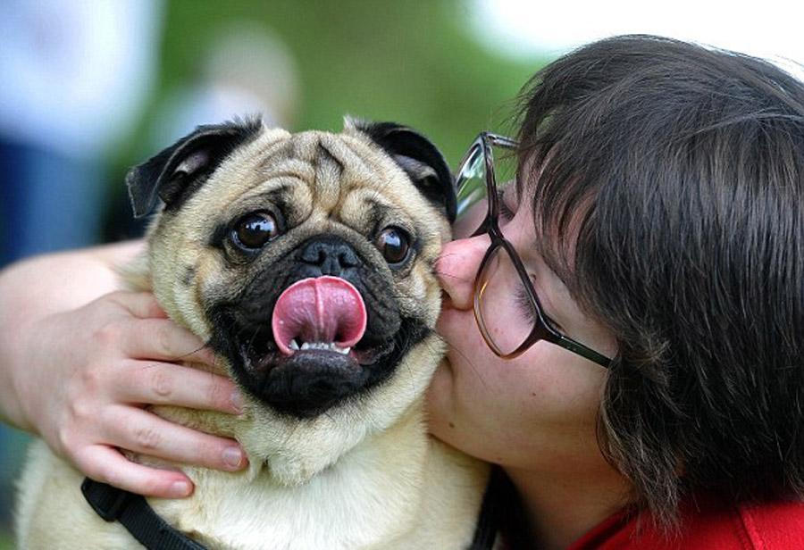 韦如真的能让新手小白快速入门吗？