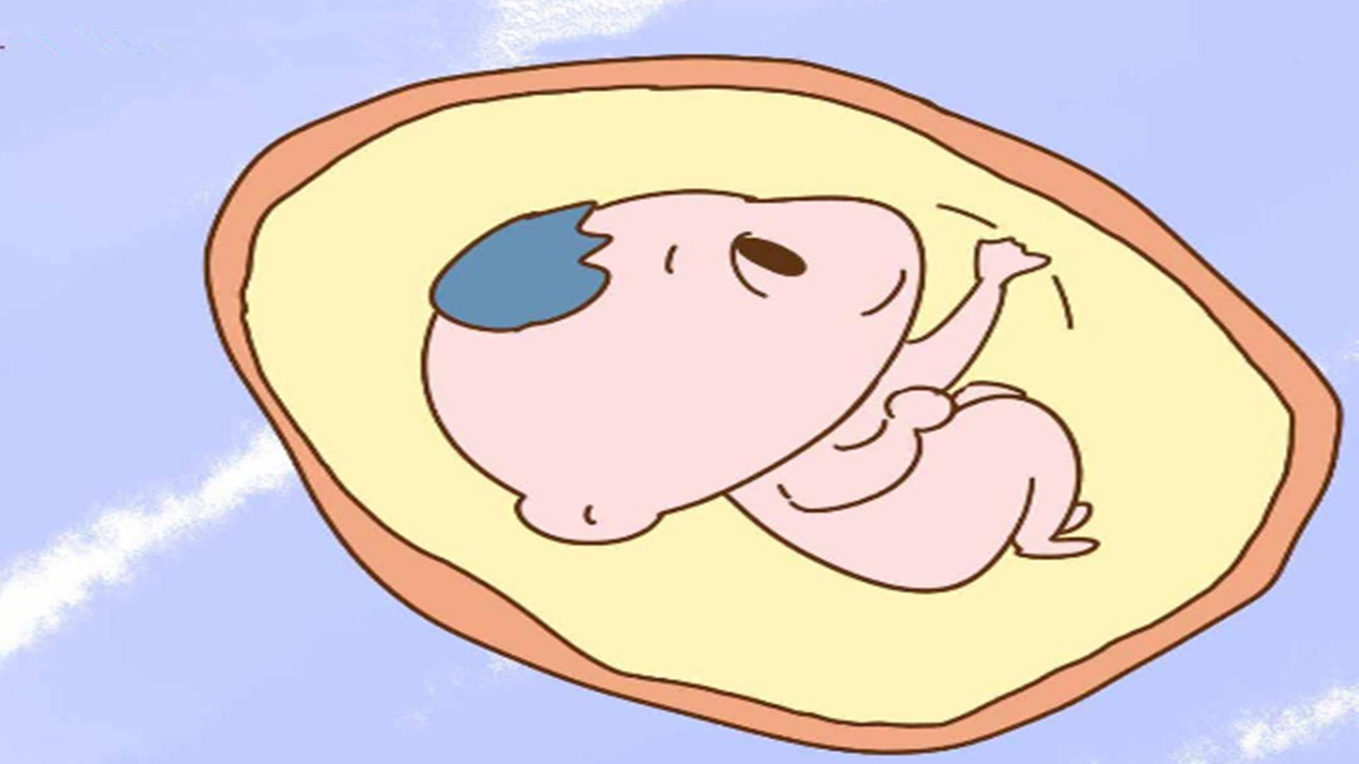 生男生女真的能靠症状猜出来吗？