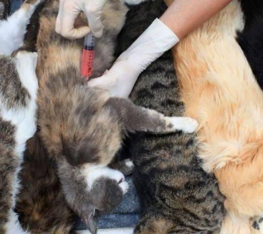 2014年你的生肖运势到底好不好？