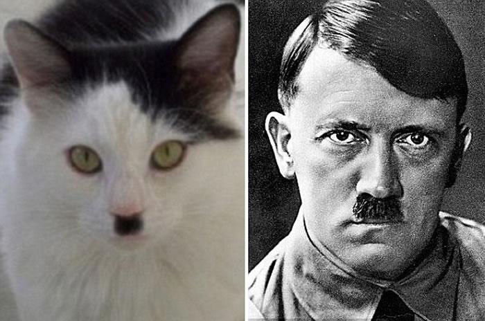 梦见别人家孩子死了是凶兆吗？