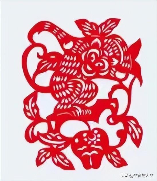 属鼠的人真的都精明能干吗？