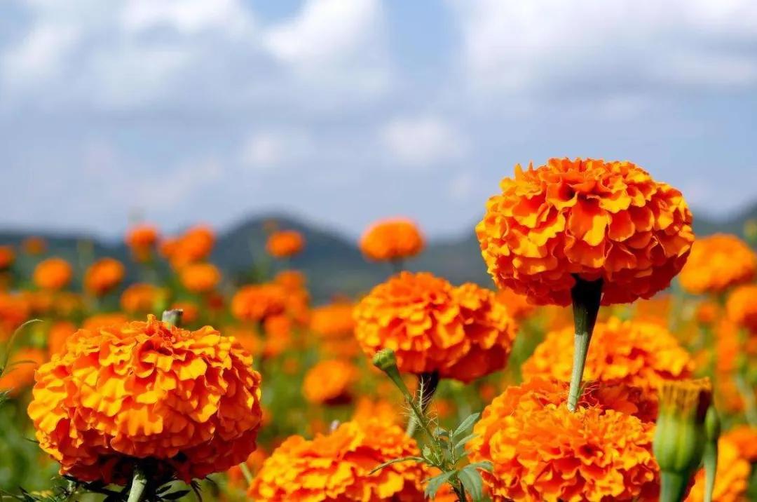 4月9日到底藏着什么新手福利？