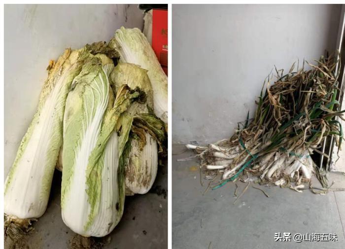 松鼠为什么能成为森林里的囤粮高手? 松鼠为什么能成为森林里的囤粮高手?