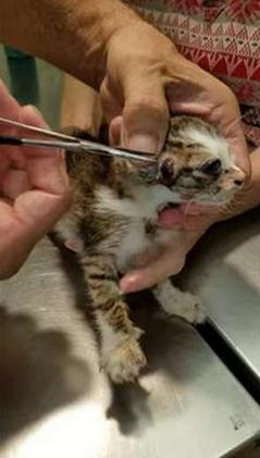 你身上的痣真的藏着命运密码吗？