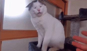 淘宝旺旺群发软件用不好会被封店吗？