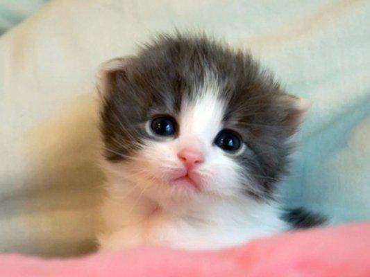 游戏淘宝网到底靠不靠谱？