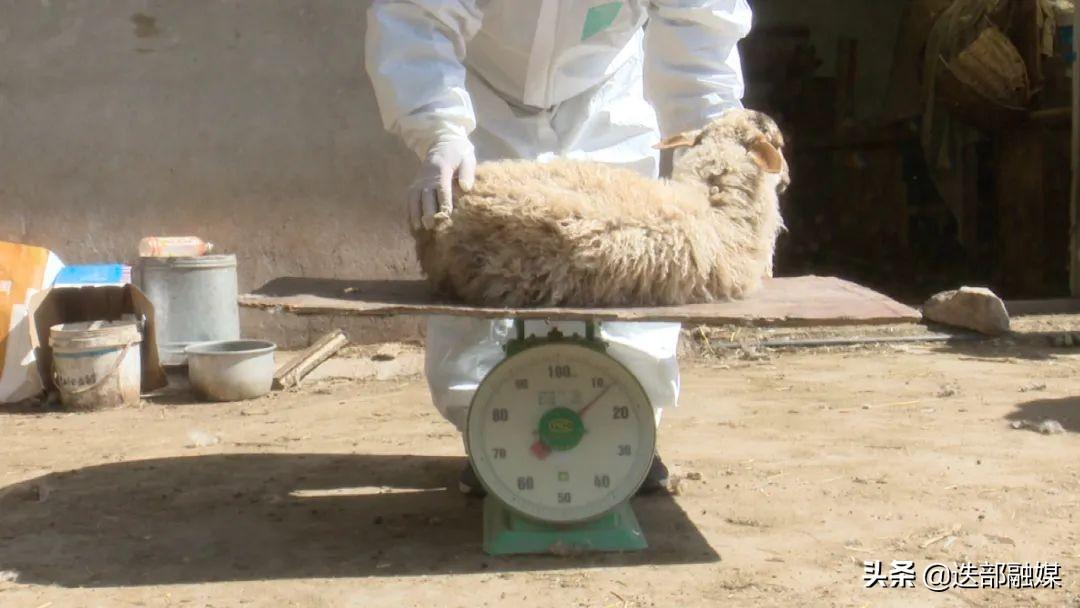 微信群控真的能躺着赚钱吗？