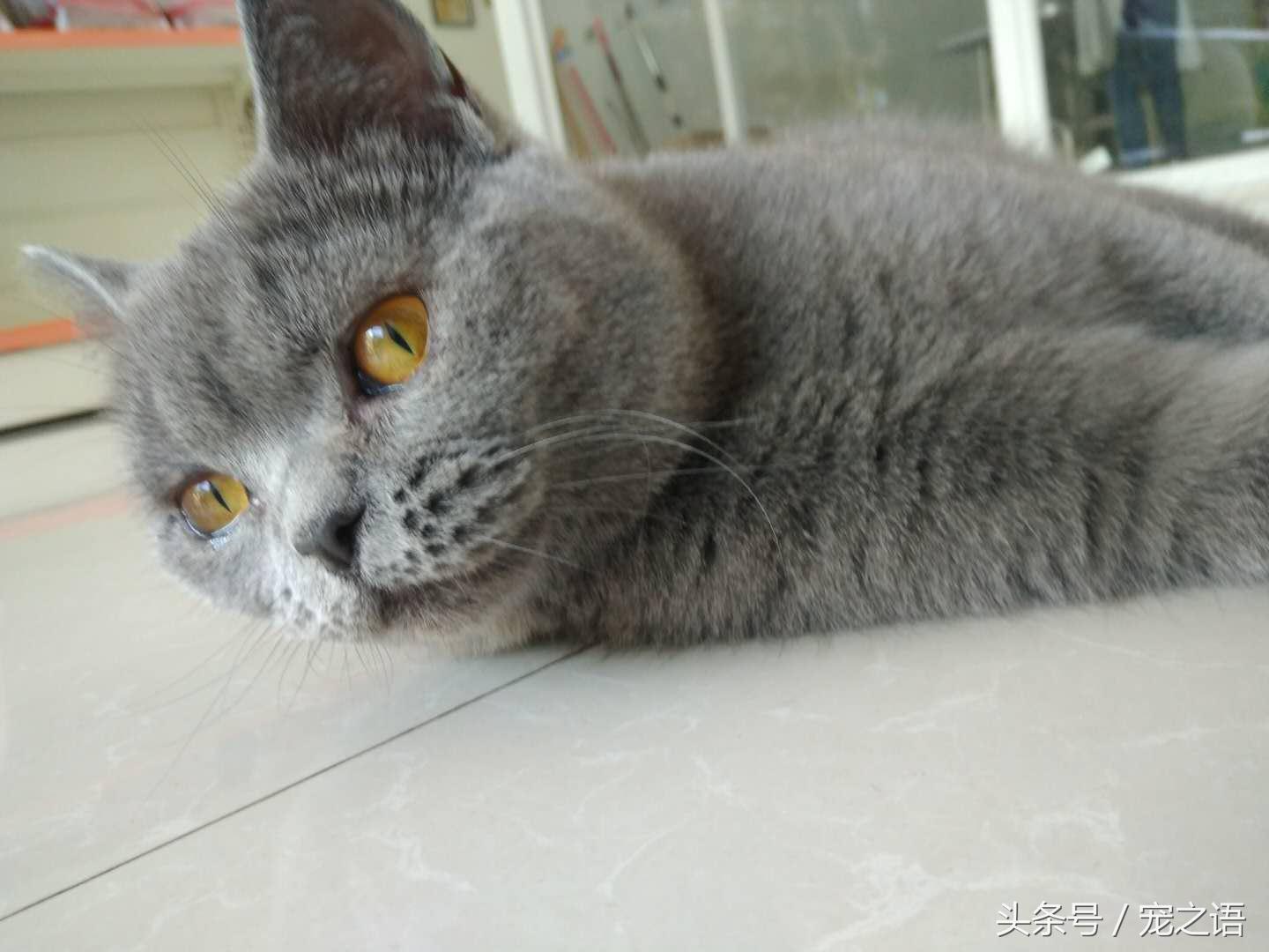 花小钱办大事！IBM二手笔记本选购避坑指南