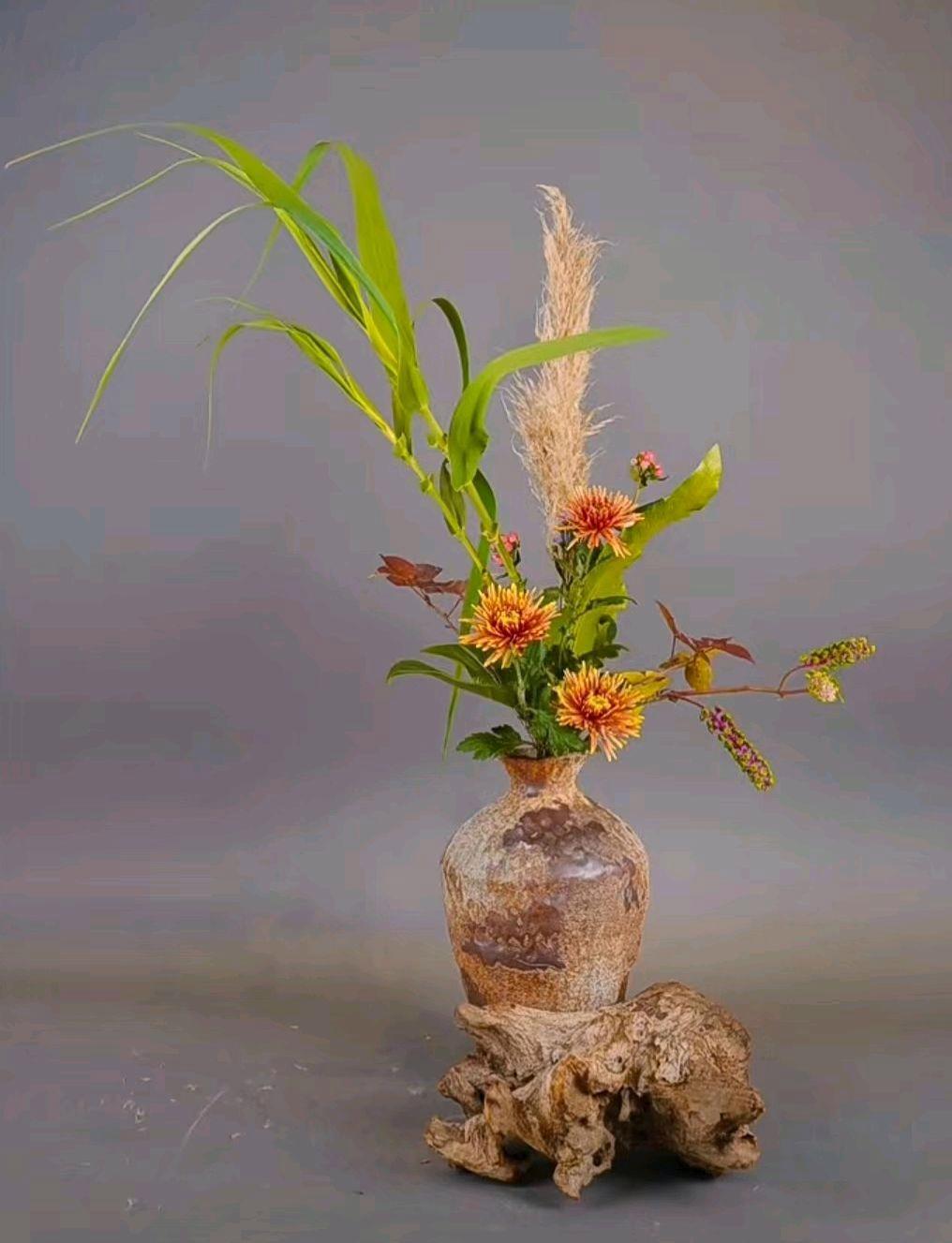 2024龙年你的运势会被彻底改写吗？