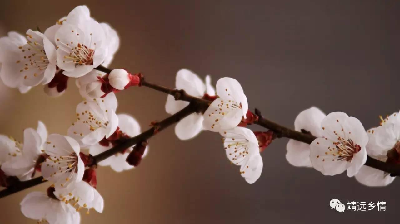 为什么老人说农历五月十三必须带伞出门？