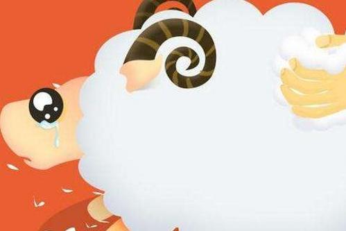 犬瘟热治疗到底要掏空多少钱包？