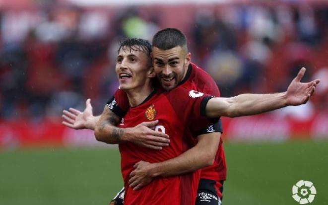 淘宝客效果如何？全面解析其优势与潜在弊端