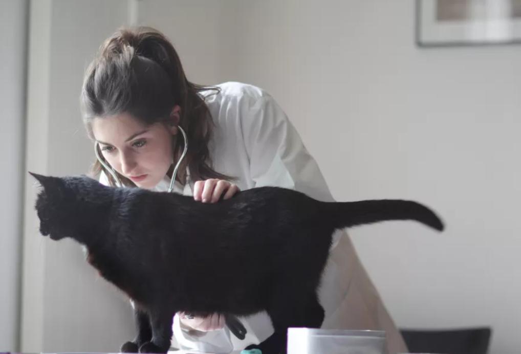 淘宝双十一怎么买最划算？