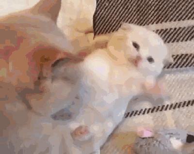 2024年8月4日财运最佳方位解析：如何选择招财方位提升财运