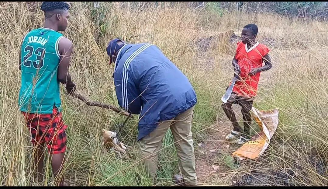 2011年10月27日出生的人命运解析：他们是什么命？