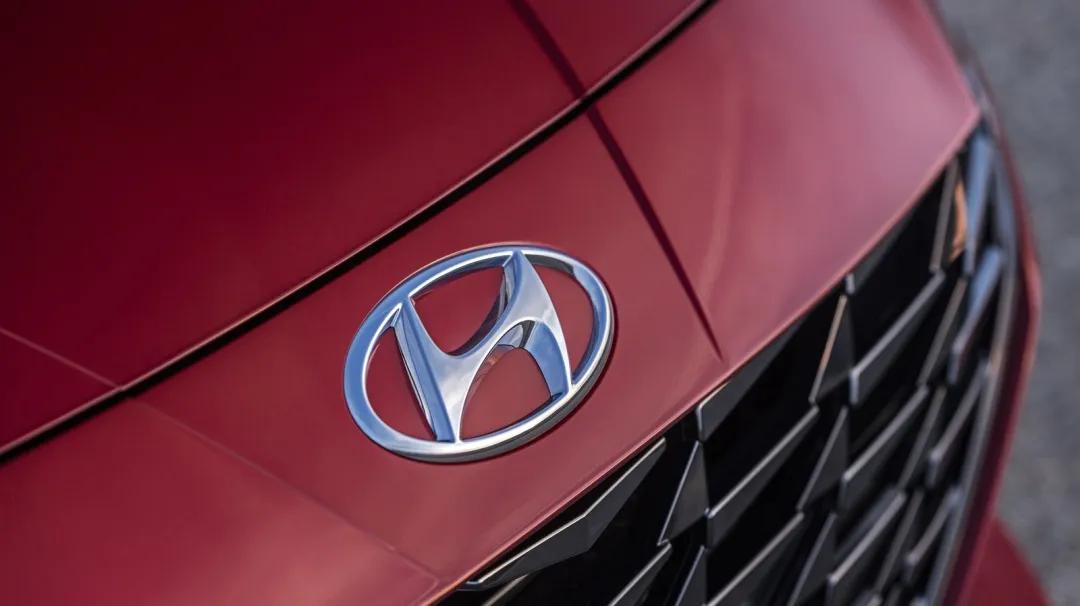 野兔养殖真能月入过万吗？