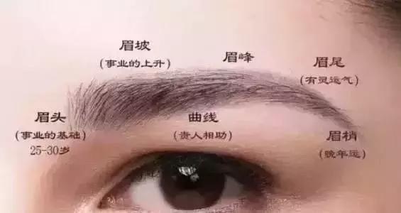 美国华人论坛拍到底怎么玩？新手必看避坑指南